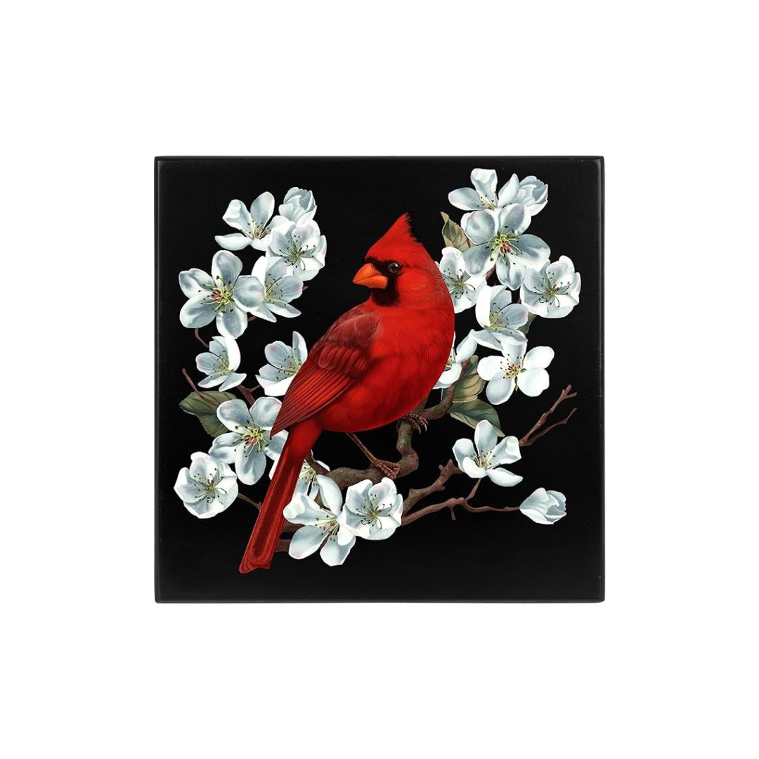 Cardinals Visit Photo Cube