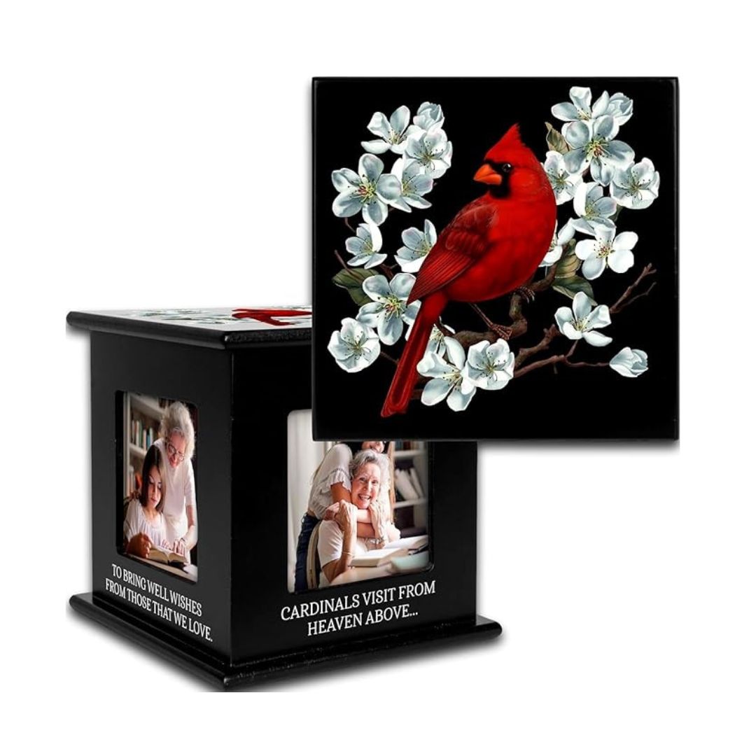 Cardinals Visit Photo Cube