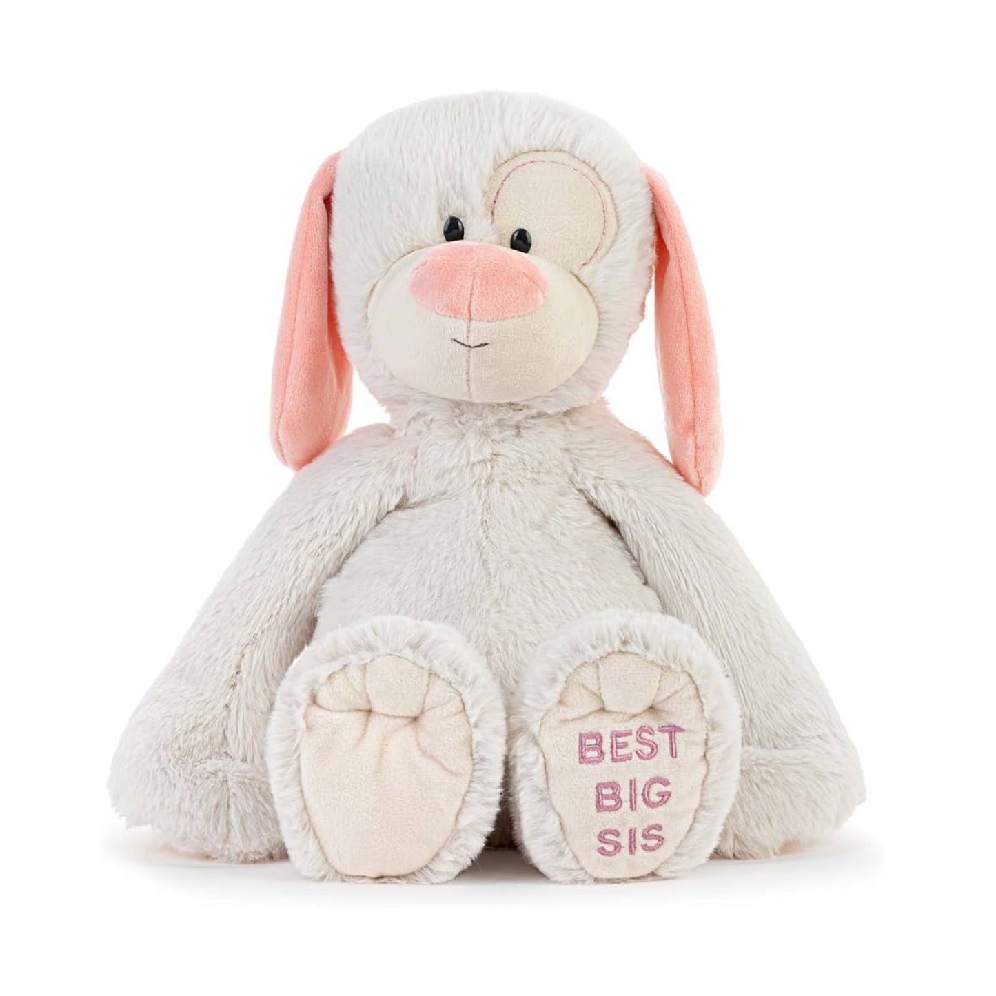 Best Big Sister Plush Dog