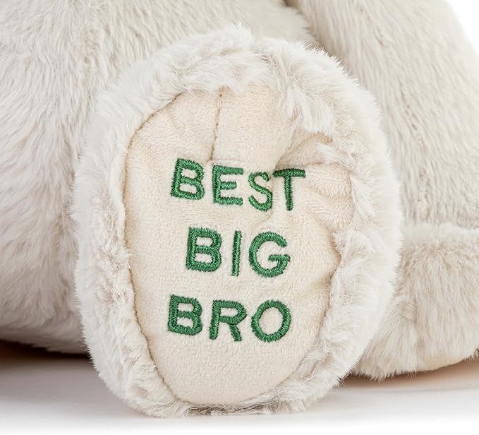Best Big Brother Plush Dog
