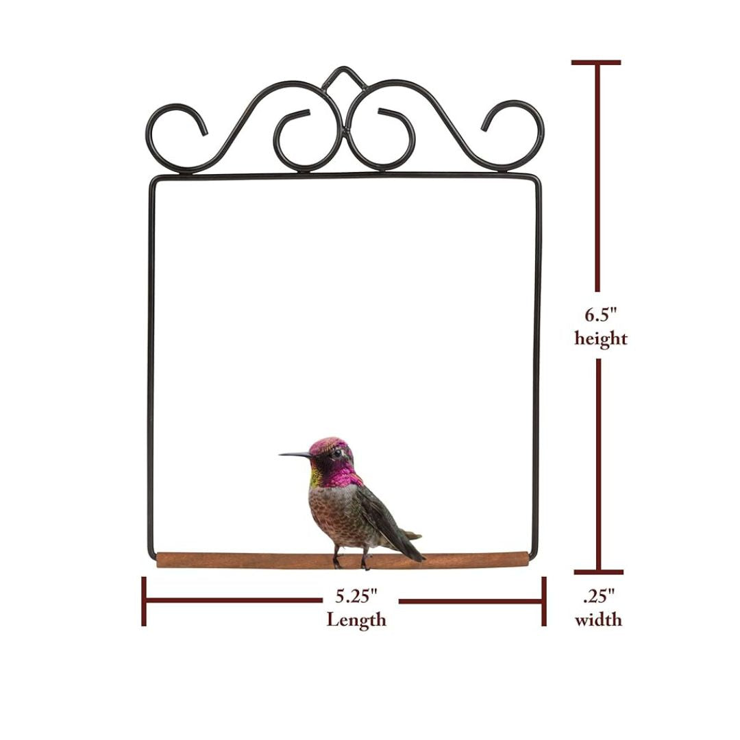 Hummingbird Swing Original Black